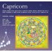 Wensli Silk Scarf - 12 constellations